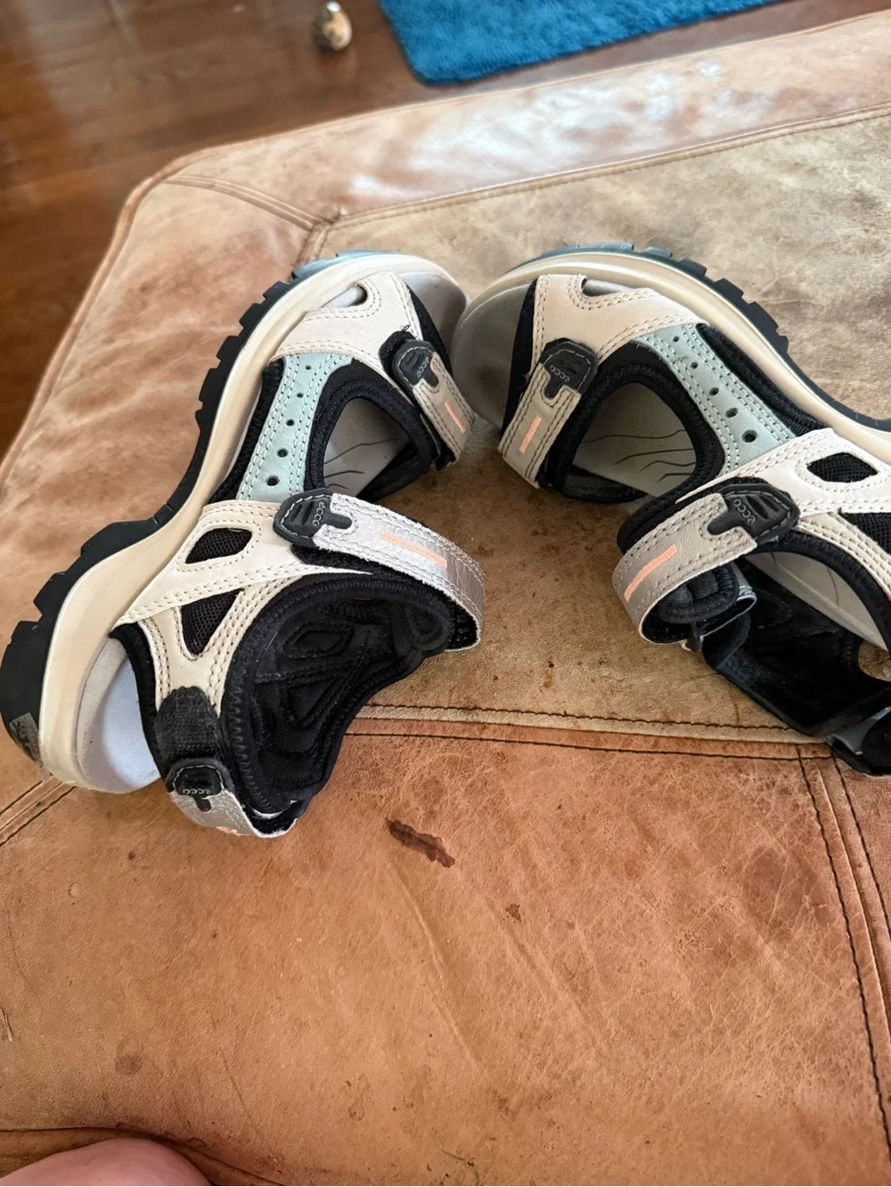 Ecco lightweight kids
